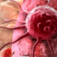 Oleocanthal: A key ingredient in EVOO that kills cancer cells.