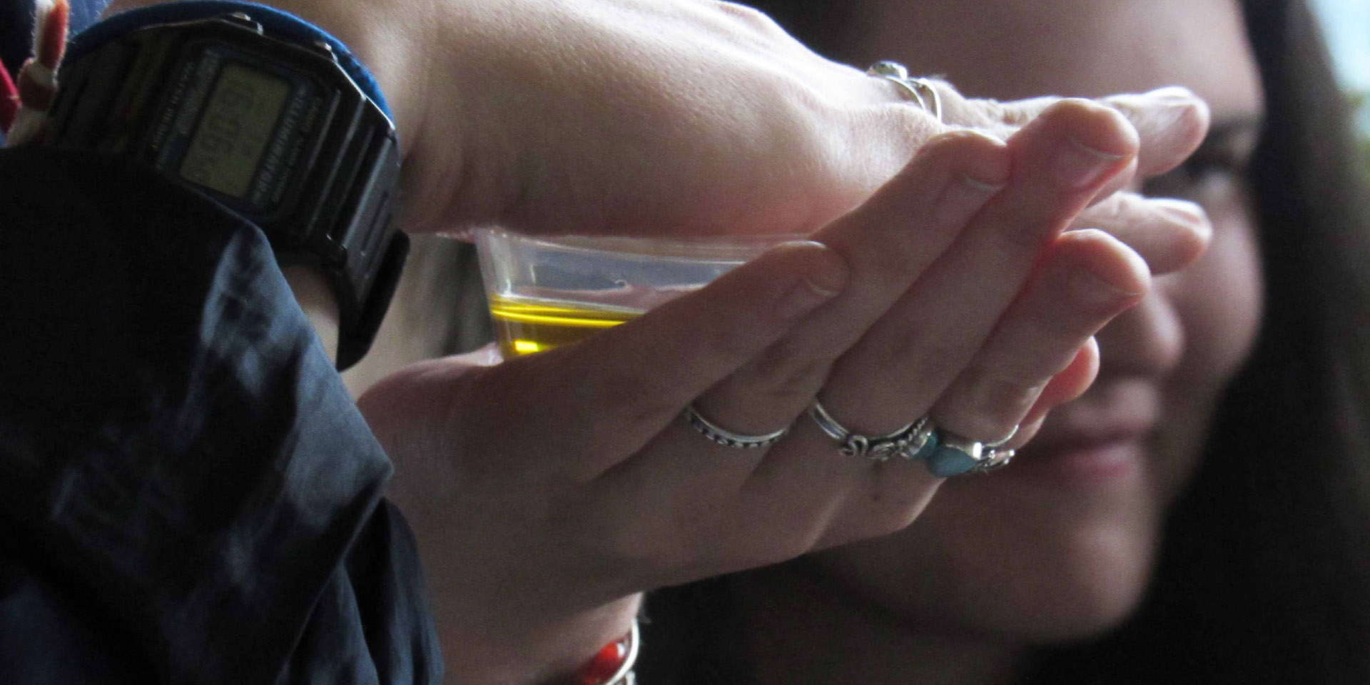 Olive Oil Mill Tasting Tour